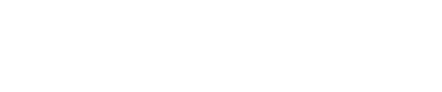 VerzNexus Logo